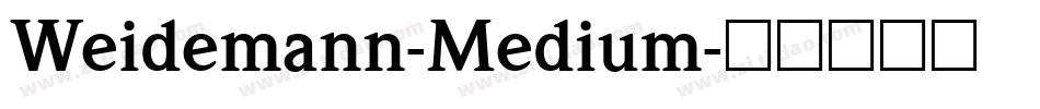 Weidemann-Medium字体转换