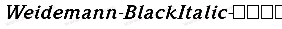 Weidemann-BlackItalic字体转换