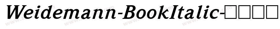 Weidemann-BookItalic字体转换
