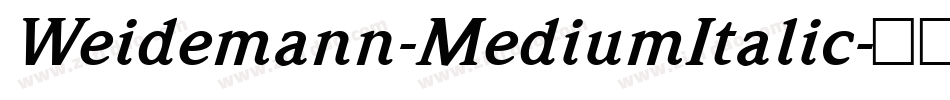 Weidemann-MediumItalic字体转换