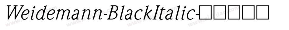 Weidemann-BlackItalic字体转换