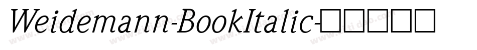 Weidemann-BookItalic字体转换