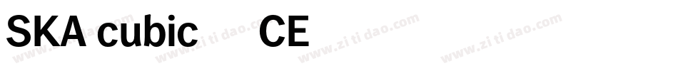 SKA_cubic01_75_CE字体转换