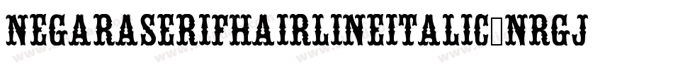 NegaraserifHairlineitalic-nRgjJ字体转换