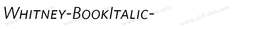 Whitney-BookItalic字体转换