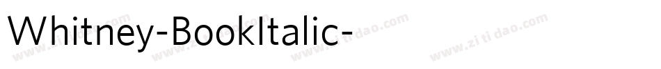 Whitney-BookItalic字体转换
