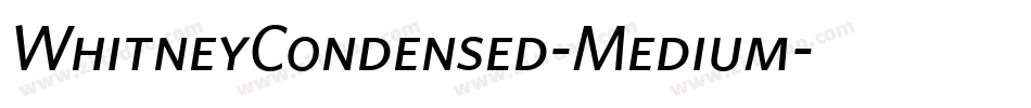 WhitneyCondensed-Medium字体转换