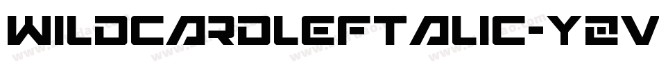 WildcardLeftalic-YZv4字体转换