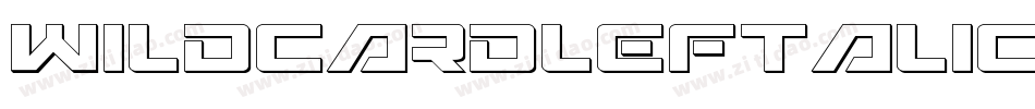 WildcardLeftalic-YZv4字体转换