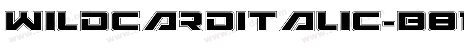 WildcardItalic-B818字体转换