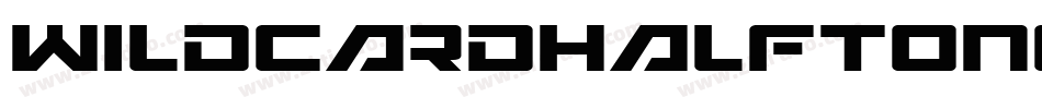 WildcardHalftoneItalic-lyj0字体转换