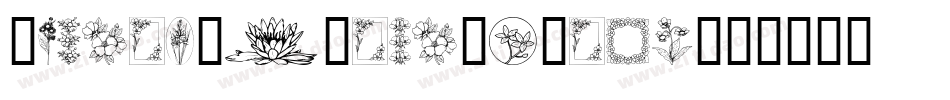 RandomIvBold-qZojr字体转换