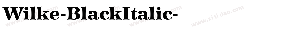 Wilke-BlackItalic字体转换