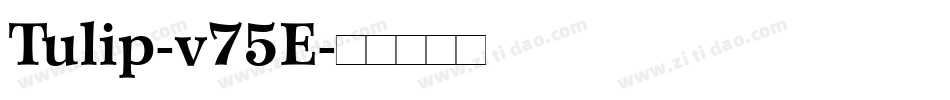 Tulip-v75E字体转换