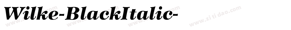 Wilke-BlackItalic字体转换