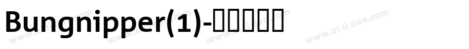 Bungnipper(1)字体转换