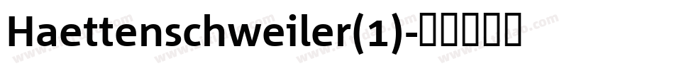 Haettenschweiler(1)字体转换