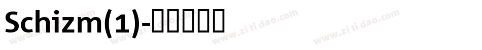 Schizm(1)字体转换
