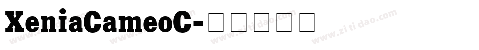 XeniaCameoC字体转换