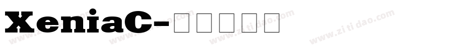 XeniaC字体转换