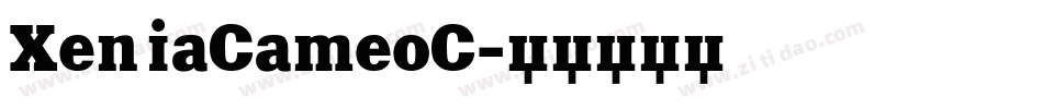 XeniaCameoC字体转换