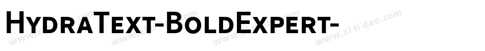 HydraText-BoldExpert字体转换