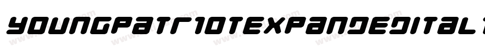 YoungPatriotExpandedItalic-MVY2n字体转换
