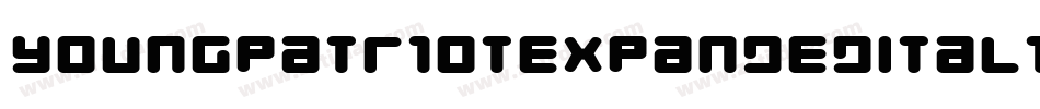 YoungPatriotExpandedItalic-MVY2n字体转换