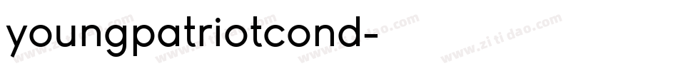youngpatriotcond字体转换