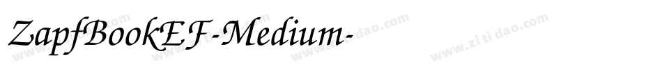 ZapfBookEF-Medium字体转换