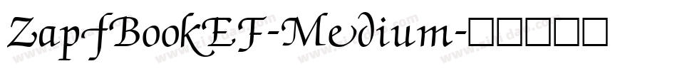 ZapfBookEF-Medium字体转换