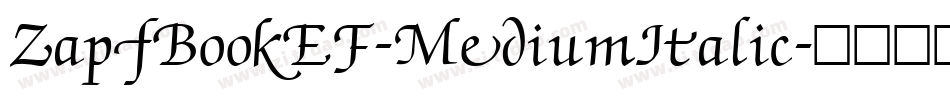ZapfBookEF-MediumItalic字体转换