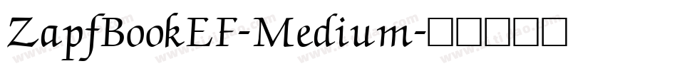 ZapfBookEF-Medium字体转换