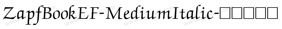 ZapfBookEF-MediumItalic字体转换
