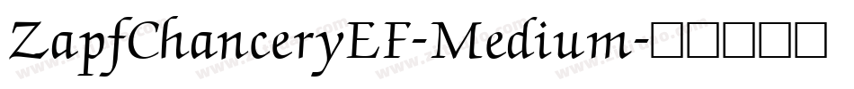 ZapfChanceryEF-Medium字体转换