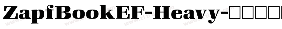 ZapfBookEF-Heavy字体转换