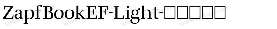 ZapfBookEF-Light字体转换