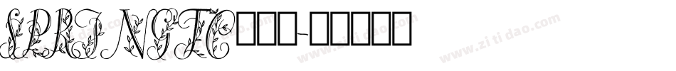 SPRINGTC手机版字体转换