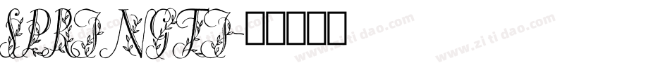 SPRINGTI字体转换