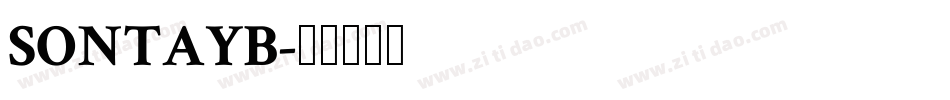 SONTAYB字体转换
