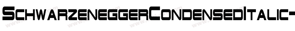 SchwarzeneggerCondensedItalic-lELe字体转换