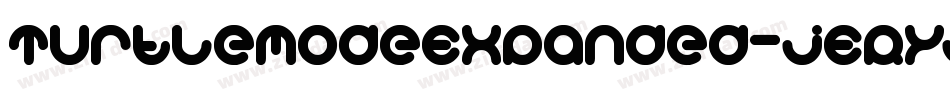 TurtleModeExpanded-jERyj字体转换