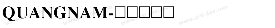 QUANGNAM字体转换