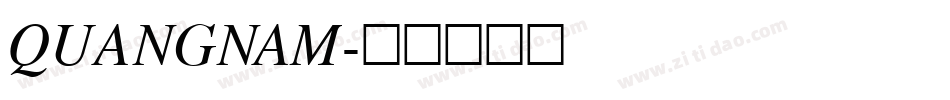 QUANGNAM字体转换