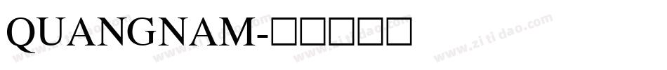 QUANGNAM字体转换