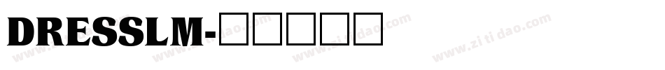 DRESSLM字体转换