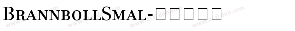 BrannbollSmal字体转换