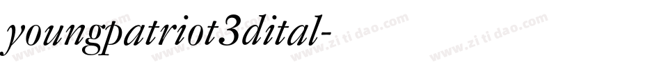 youngpatriot3dital字体转换