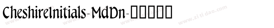 CheshireInitials-MdDn字体转换