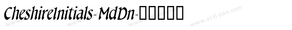 CheshireInitials-MdDn字体转换